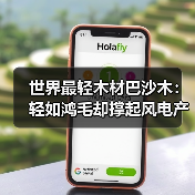 世界最轻木材巴沙木:轻如鸿毛却撑起风电产业半边天(图2) 世界最轻木材巴沙木:轻如鸿毛却撑起风电产业半边天(图2)
