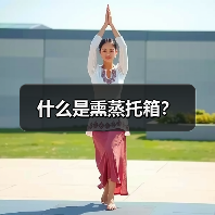 什么是熏蒸托箱?(图1) 什么是熏蒸托箱?(图1)