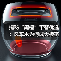 揭秘“黑檀”平替优选:风车木为何成大板茶桌高端材质新宠?(图1) 揭秘“黑檀”平替优选:风车木为何成大板茶桌高端材质新宠?(图1)
