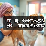 红、黄、褐榄仁木怎么分?一文厘清核心差异与应用边界(图3) 红、黄、褐榄仁木怎么分?一文厘清核心差异与应用边界(图3)