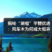 揭秘“黑檀”平替优选:风车木为何成大板茶桌高端材质新宠?(图3) 揭秘“黑檀”平替优选:风车木为何成大板茶桌高端材质新宠?(图3)