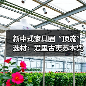新中式家具圈“顶流”选材:爱里古夷苏木凭什么圈粉无数?(图1) 新中式家具圈“顶流”选材:爱里古夷苏木凭什么圈粉无数?(图1)