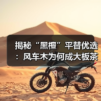 揭秘“黑檀”平替优选:风车木为何成大板茶桌高端材质新宠?(图2) 揭秘“黑檀”平替优选:风车木为何成大板茶桌高端材质新宠?(图2)