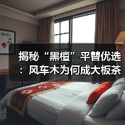 揭秘“黑檀”平替优选:风车木为何成大板茶桌高端材质新宠?(图4) 揭秘“黑檀”平替优选:风车木为何成大板茶桌高端材质新宠?(图4)