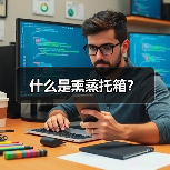 什么是熏蒸托箱？（图1）