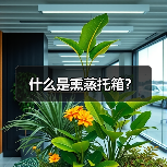 什么是熏蒸托箱？（图4）