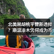 北美黑胡桃平替新选择?斯温漆木凭何成为市场新宠(图2) 北美黑胡桃平替新选择?斯温漆木凭何成为市场新宠(图2)