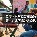风靡木材与家装市场的唐木:凭何成为大众优选材种?(图3) 风靡木材与家装市场的唐木:凭何成为大众优选材种?(图3)
