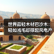 世界最轻木材巴沙木:轻如鸿毛却撑起风电产业半边天(图1) 世界最轻木材巴沙木:轻如鸿毛却撑起风电产业半边天(图1)