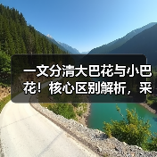 一文分清大巴花与小巴花!核心区别解析,采购避坑必看(图1) 一文分清大巴花与小巴花!核心区别解析,采购避坑必看(图1)