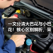 一文分清大巴花与小巴花!核心区别解析,采购避坑必看(图4) 一文分清大巴花与小巴花!核心区别解析,采购避坑必看(图4)