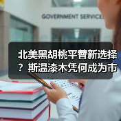北美黑胡桃平替新选择？斯温漆木凭何成为市场新宠（图1）