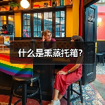 什么是熏蒸托箱?(图2) 什么是熏蒸托箱?(图2)