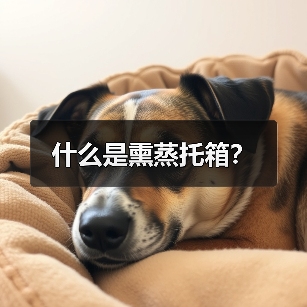 什么是熏蒸托箱?(图3) 什么是熏蒸托箱?(图3)