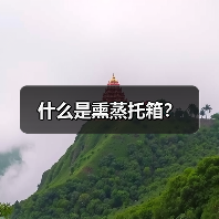什么是熏蒸托箱?(图2) 什么是熏蒸托箱?(图2)
