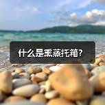 什么是熏蒸托箱?(图1) 什么是熏蒸托箱?(图1)