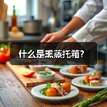 什么是熏蒸托箱?(图4) 什么是熏蒸托箱?(图4)