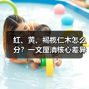 红、黄、褐榄仁木怎么分?一文厘清核心差异与应用边界(图4) 红、黄、褐榄仁木怎么分?一文厘清核心差异与应用边界(图4)