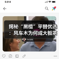 揭秘“黑檀”平替优选:风车木为何成大板茶桌高端材质新宠?(图1) 揭秘“黑檀”平替优选:风车木为何成大板茶桌高端材质新宠?(图1)