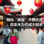 揭秘“黑檀”平替优选:风车木为何成大板茶桌高端材质新宠?(图4) 揭秘“黑檀”平替优选:风车木为何成大板茶桌高端材质新宠?(图4)