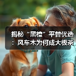 揭秘“黑檀”平替优选:风车木为何成大板茶桌高端材质新宠?(图2) 揭秘“黑檀”平替优选:风车木为何成大板茶桌高端材质新宠?(图2)