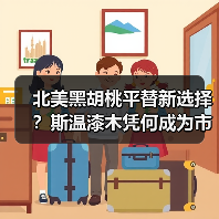 北美黑胡桃平替新选择?斯温漆木凭何成为市场新宠(图3) 北美黑胡桃平替新选择?斯温漆木凭何成为市场新宠(图3)