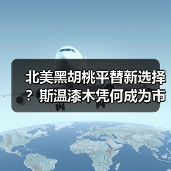 北美黑胡桃平替新选择?斯温漆木凭何成为市场新宠(图3) 北美黑胡桃平替新选择?斯温漆木凭何成为市场新宠(图3)
