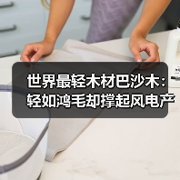 世界最轻木材巴沙木:轻如鸿毛却撑起风电产业半边天(图4) 世界最轻木材巴沙木:轻如鸿毛却撑起风电产业半边天(图4)