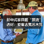 新中式家具圈“顶流”选材:爱里古夷苏木凭什么圈粉无数?(图1) 新中式家具圈“顶流”选材:爱里古夷苏木凭什么圈粉无数?(图1)