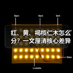 红、黄、褐榄仁木怎么分?一文厘清核心差异与应用边界(图3) 红、黄、褐榄仁木怎么分?一文厘清核心差异与应用边界(图3)