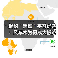 揭秘“黑檀”平替优选:风车木为何成大板茶桌高端材质新宠?(图4) 揭秘“黑檀”平替优选:风车木为何成大板茶桌高端材质新宠?(图4)