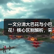 一文分清大巴花与小巴花!核心区别解析,采购避坑必看(图3) 一文分清大巴花与小巴花!核心区别解析,采购避坑必看(图3)