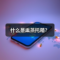 什么是熏蒸托箱?(图1) 什么是熏蒸托箱?(图1)