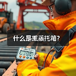 什么是熏蒸托箱?(图3) 什么是熏蒸托箱?(图3)