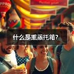 什么是熏蒸托箱?(图2) 什么是熏蒸托箱?(图2)
