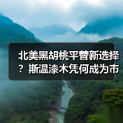 北美黑胡桃平替新选择？斯温漆木凭何成为市场新宠（图1）