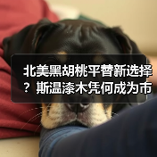 北美黑胡桃平替新选择？斯温漆木凭何成为市场新宠（图4）