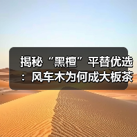 揭秘“黑檀”平替优选：风车木为何成大板茶桌高端材质新宠？（图3）
