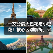 一文分清大巴花与小巴花！核心区别解析，采购避坑必看（图2）