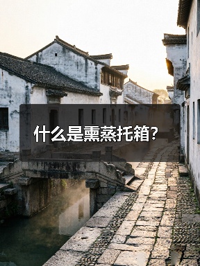 什么是熏蒸托箱？（图1）