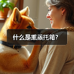 什么是熏蒸托箱？（图2）