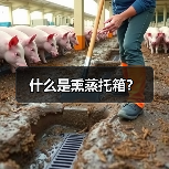 什么是熏蒸托箱？（图4）