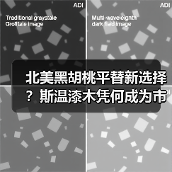北美黑胡桃平替新选择？斯温漆木凭何成为市场新宠（图3）
