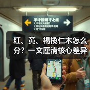 红、黄、褐榄仁木怎么分?一文厘清核心差异与应用边界(图1) 红、黄、褐榄仁木怎么分?一文厘清核心差异与应用边界(图1)