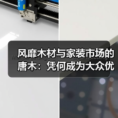 风靡木材与家装市场的唐木：凭何成为大众优选材种？（图1）