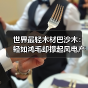 世界最轻木材巴沙木:轻如鸿毛却撑起风电产业半边天(图1) 世界最轻木材巴沙木:轻如鸿毛却撑起风电产业半边天(图1)