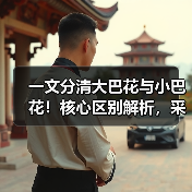 一文分清大巴花与小巴花!核心区别解析,采购避坑必看(图2) 一文分清大巴花与小巴花!核心区别解析,采购避坑必看(图2)