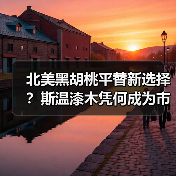 北美黑胡桃平替新选择?斯温漆木凭何成为市场新宠(图2) 北美黑胡桃平替新选择?斯温漆木凭何成为市场新宠(图2)