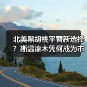 北美黑胡桃平替新选择?斯温漆木凭何成为市场新宠(图4) 北美黑胡桃平替新选择?斯温漆木凭何成为市场新宠(图4)