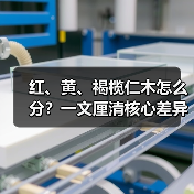 红、黄、褐榄仁木怎么分?一文厘清核心差异与应用边界(图1) 红、黄、褐榄仁木怎么分?一文厘清核心差异与应用边界(图1)